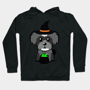 Cute schnazuer dog is a witch Hoodie